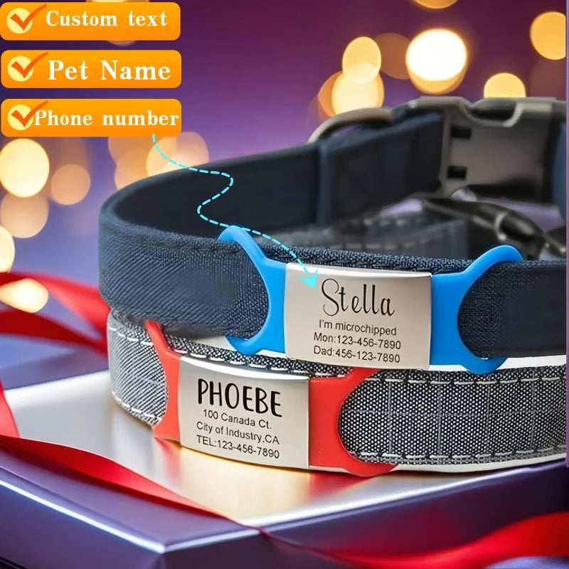 Dog collar with engraved nameplates on a blurred lights background