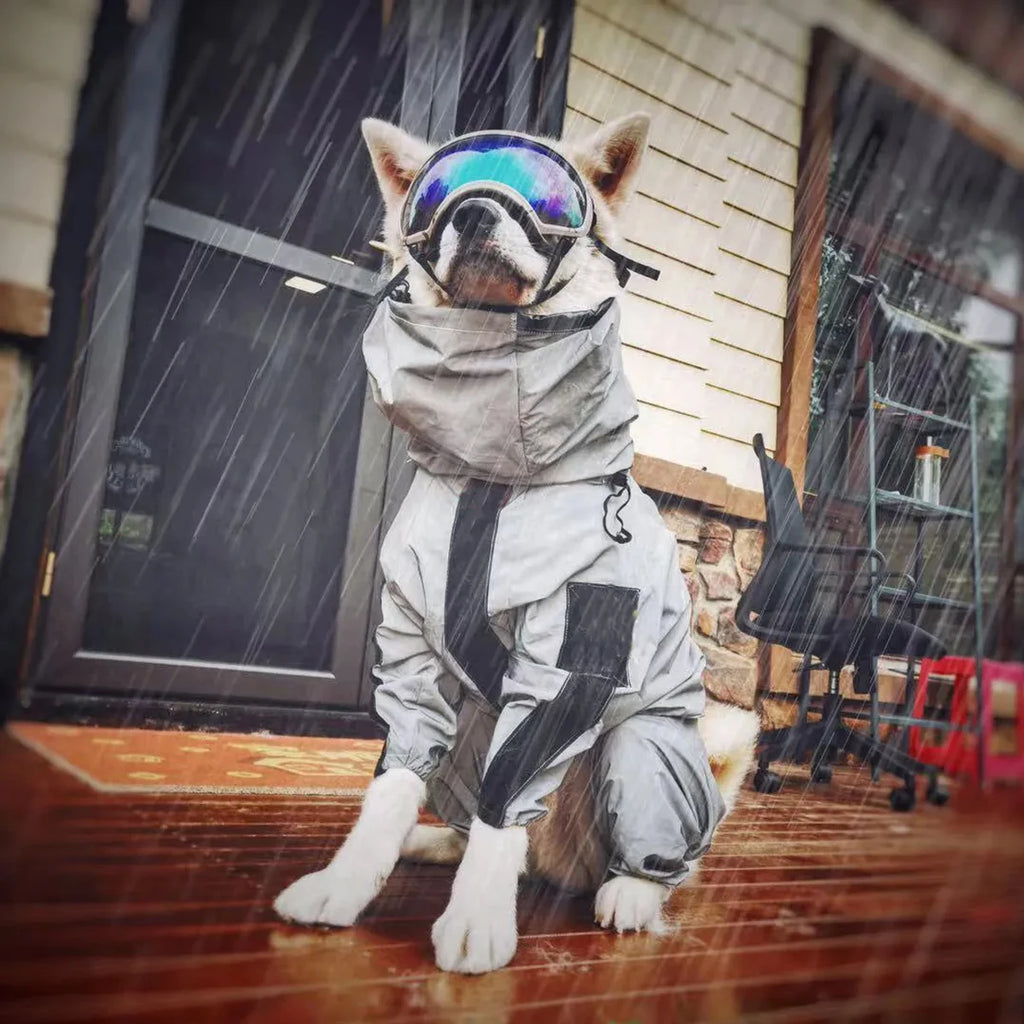 Dog wearing a raincoat and goggles sitting on a wooden floor during rain.