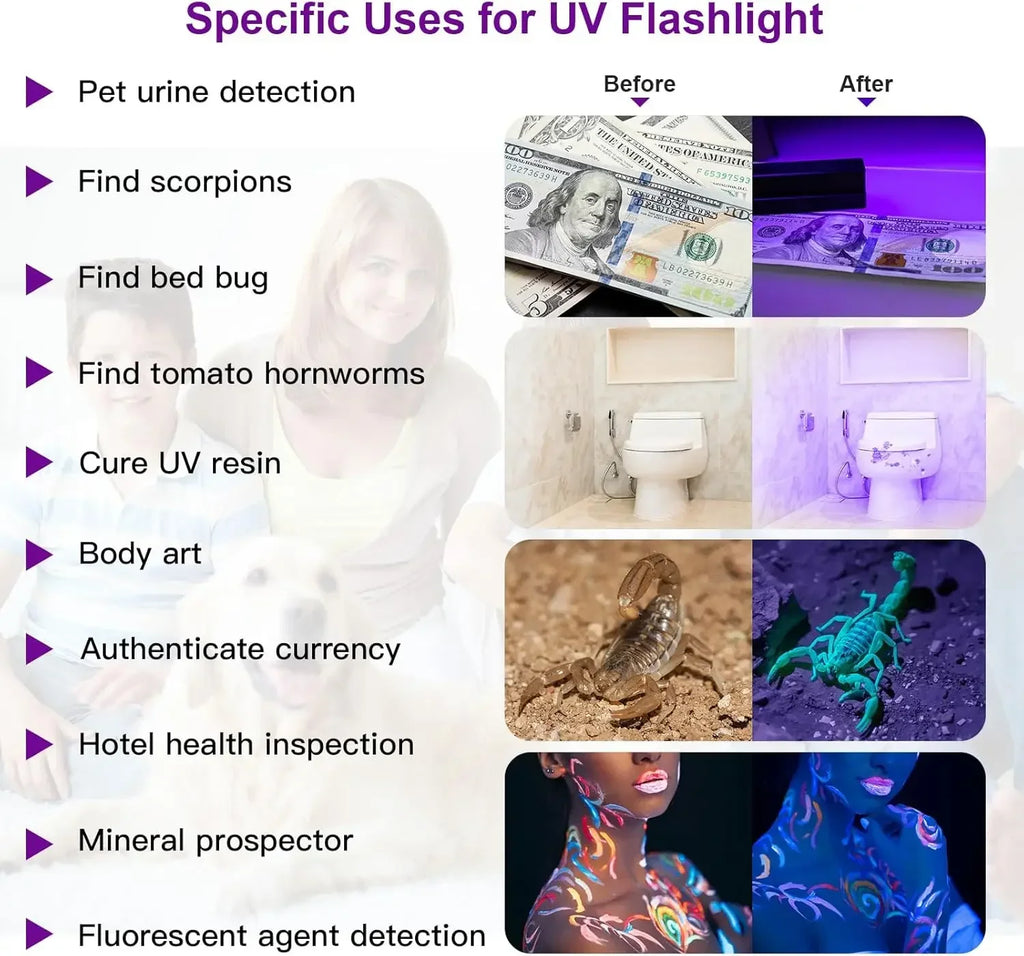 Uses of a UV flashlight with examples and text.