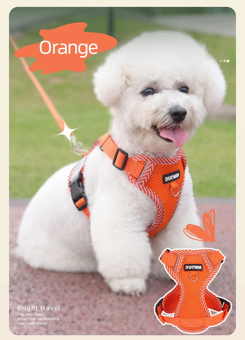 White dog wearing an orange harness with a grassy background