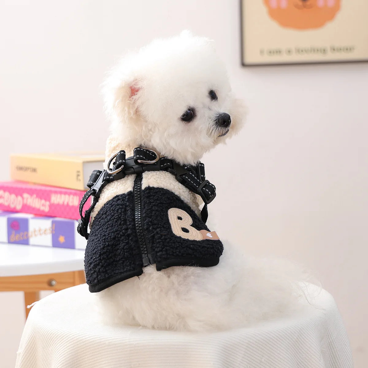 Cozy Pet Sweatshirt & Winter Coat for Small Dogs & Cats