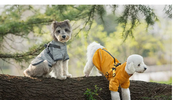 Two dogs in raincoats sitting on a log in a forest setting