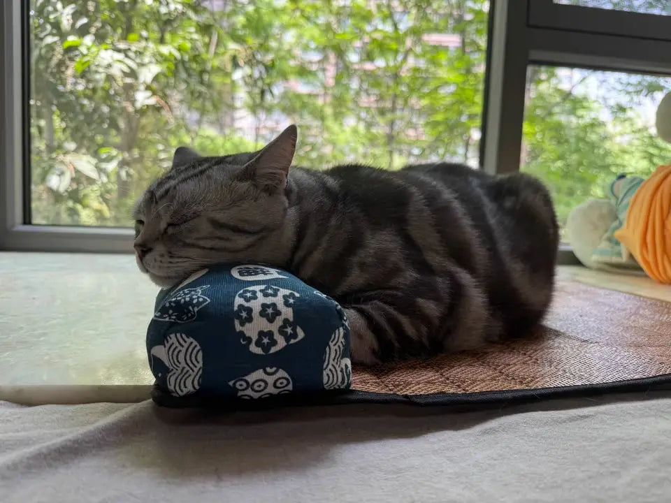 Cat lying on a self cooling mat hea resting on mats pillow