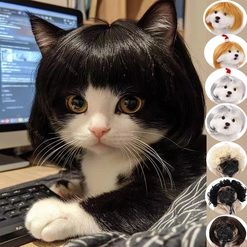 Black and white cat with a wig sitting on a desk next to a computer monitor, with various animal head wigs displayed on the right.