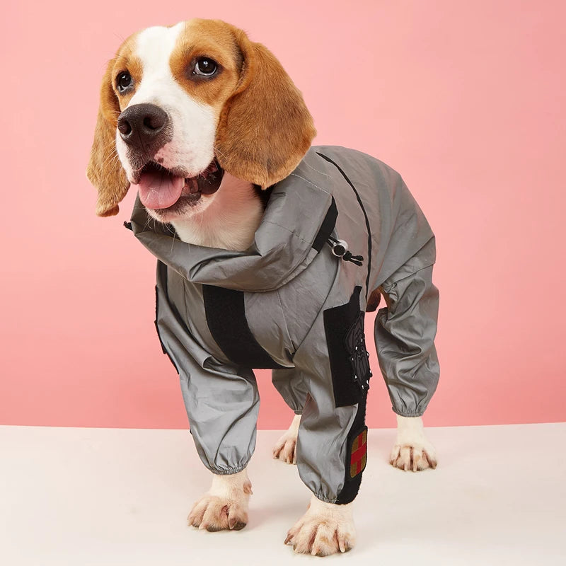 Dog wearing a gray jumpsuit on a pink background