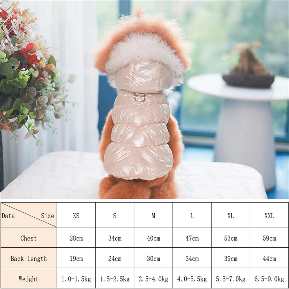 Dog in a winter coat with size chart on a table