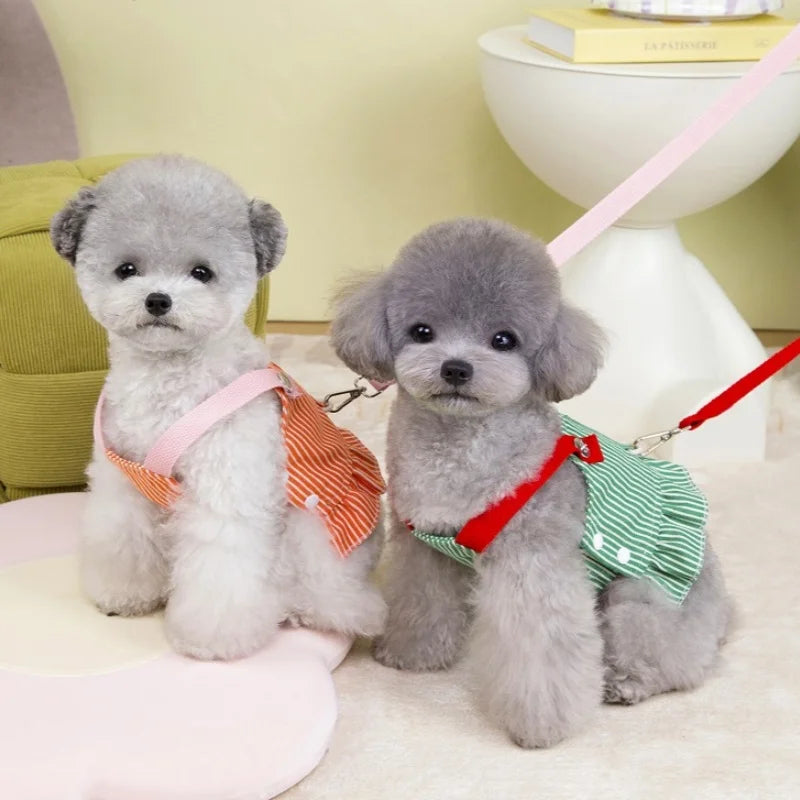 Two small gray dogs wearing colorful harnesses on a light-colored floor.