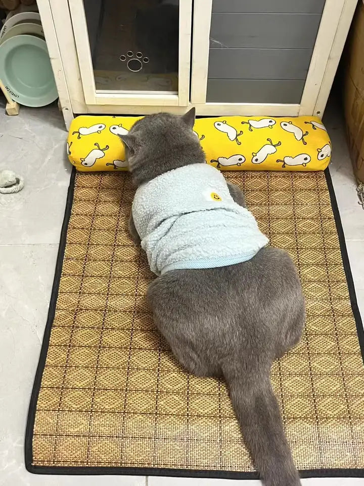 Cat wearing a light blue sweater lying on a self cooling  mat with a yellow cushion in the background.