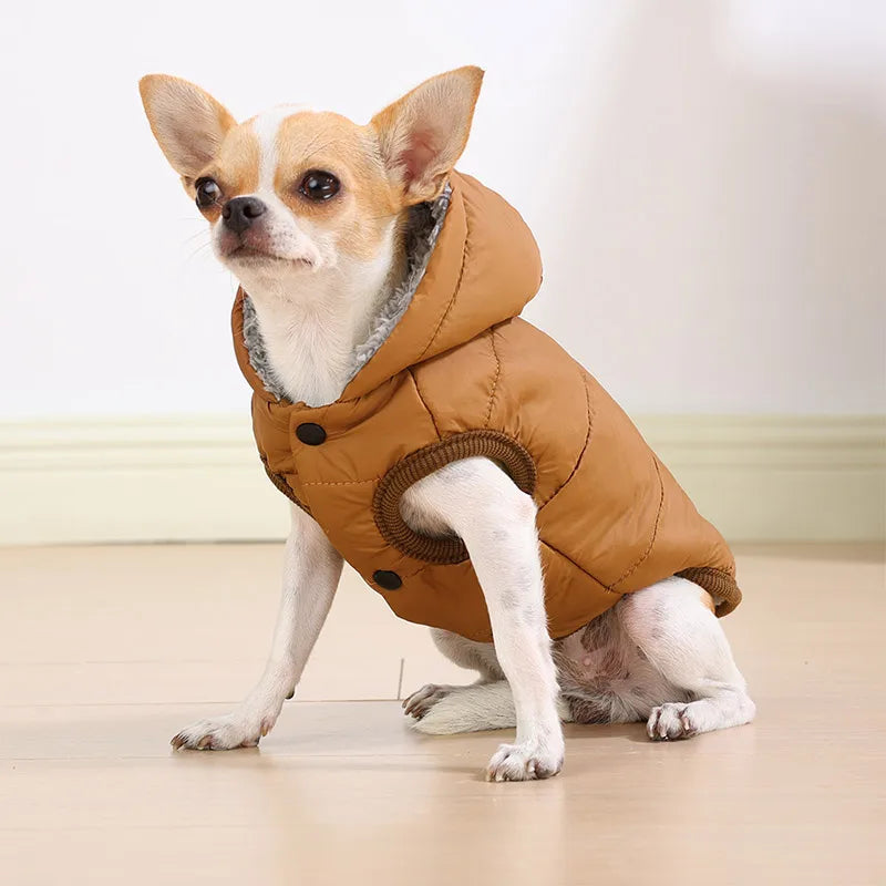 Small dog wearing a brown puffer jacket with a hood on a light wooden floor.