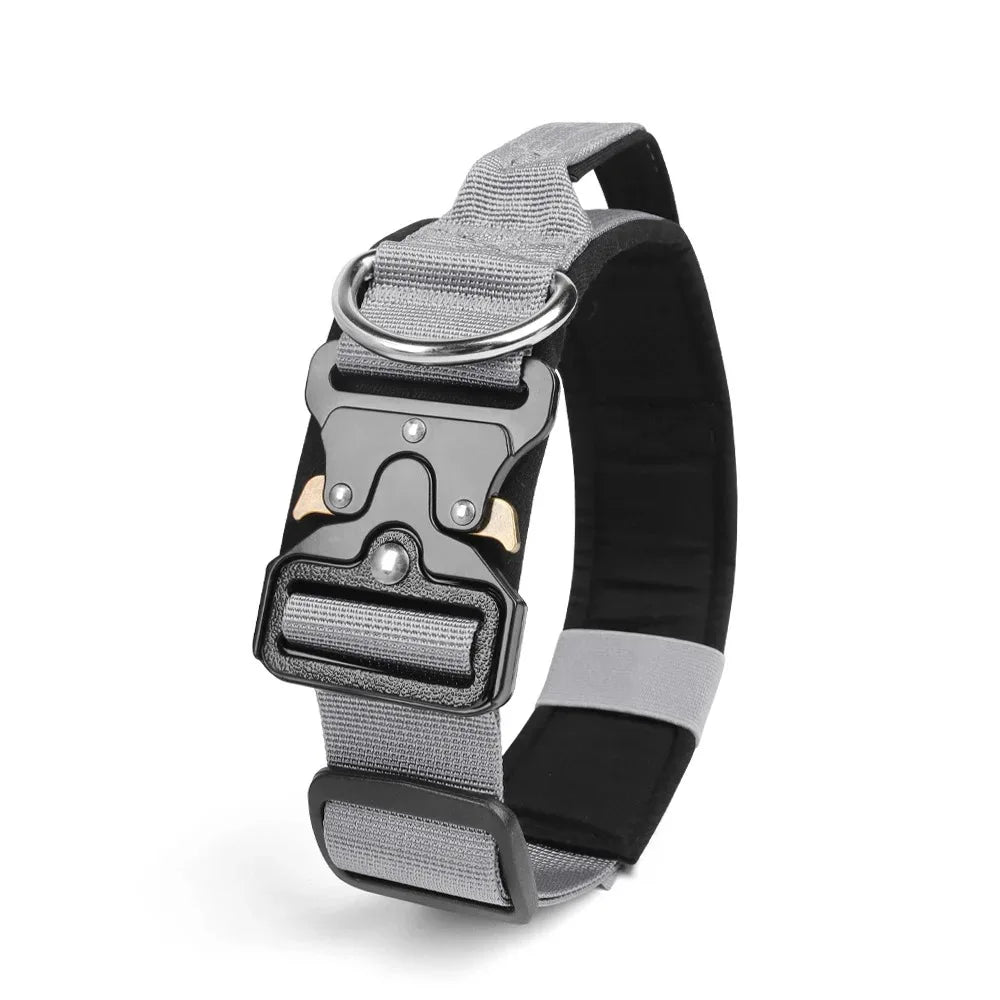 Gray and black dog collar with metal buckle on a white background