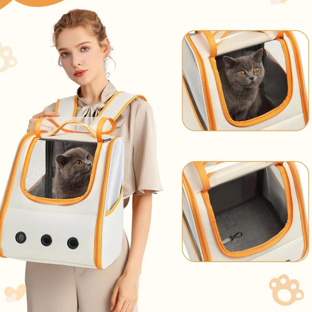 Woman holding a pet carrier with a cat inside, surrounded by close-up insets of the carrier.