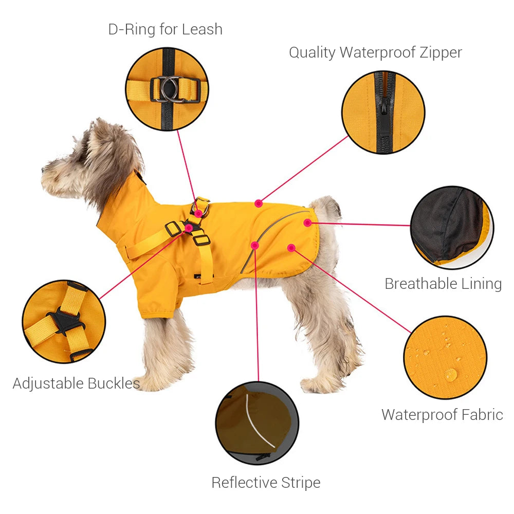 Dog wearing a yellow raincoat with features highlighted on a white background