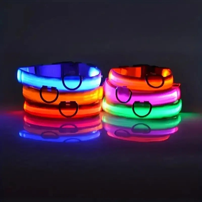 Set of colorful LED dog collars on a dark background