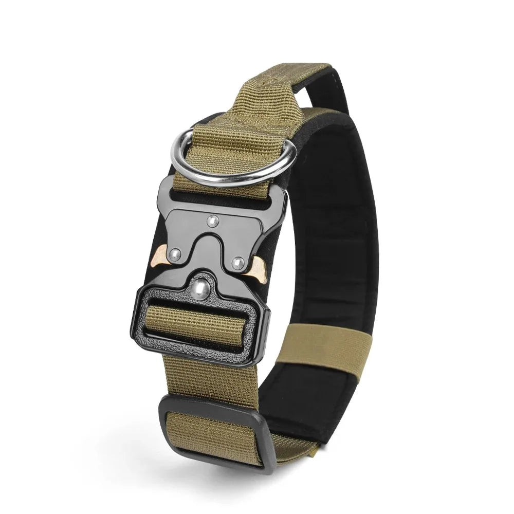 Dog collar with metal buckle on a white background