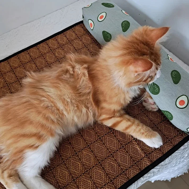 Orange tabby cat lying on a textured surface with a decorative pillow featuring avocado patterns.