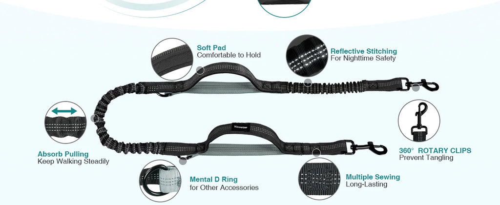 Dog leash with features highlighted on a white background
