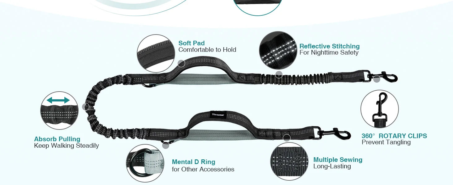 Dog leash with features highlighted on a white background