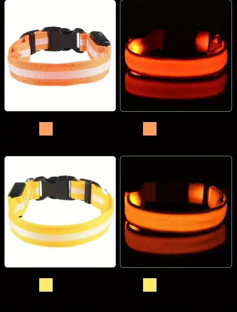 Four views of a glowing orange dog collar on a black background