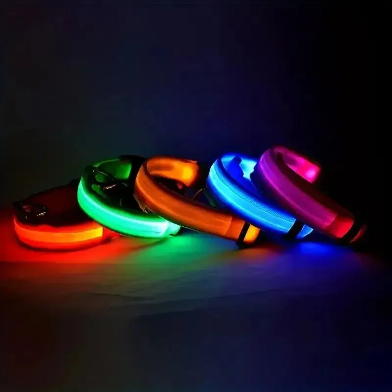 Colorful LED dog collars on a dark background