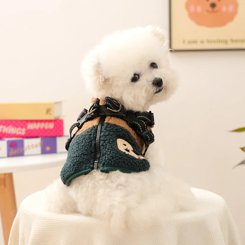 Small white dog wearing a green fleece jacket indoors.