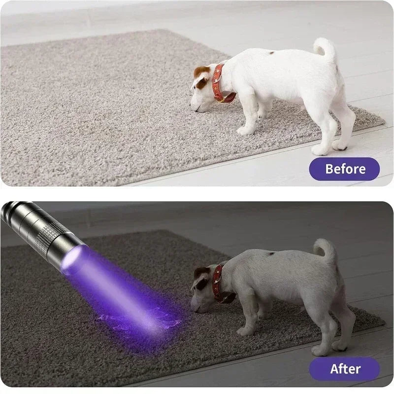 Dog on a mat with and without a purple light, showing before and after effect.