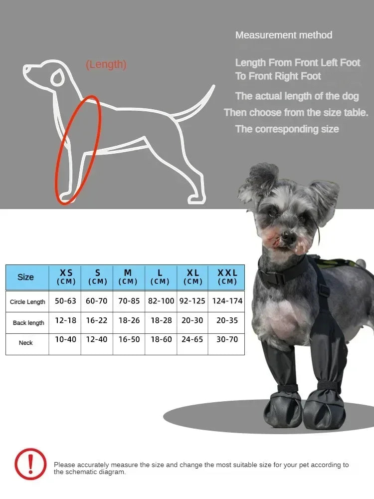 Dog measurement chart with a dog wearing a harness and size chart on a gray background