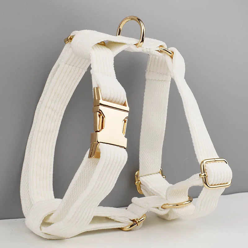 White dog harness with gold hardware on a gray background