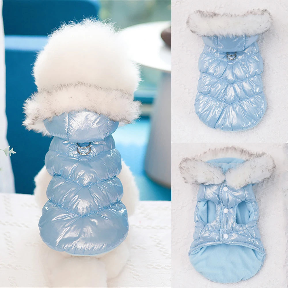 Blue dog coat with white fur trim on a white background
