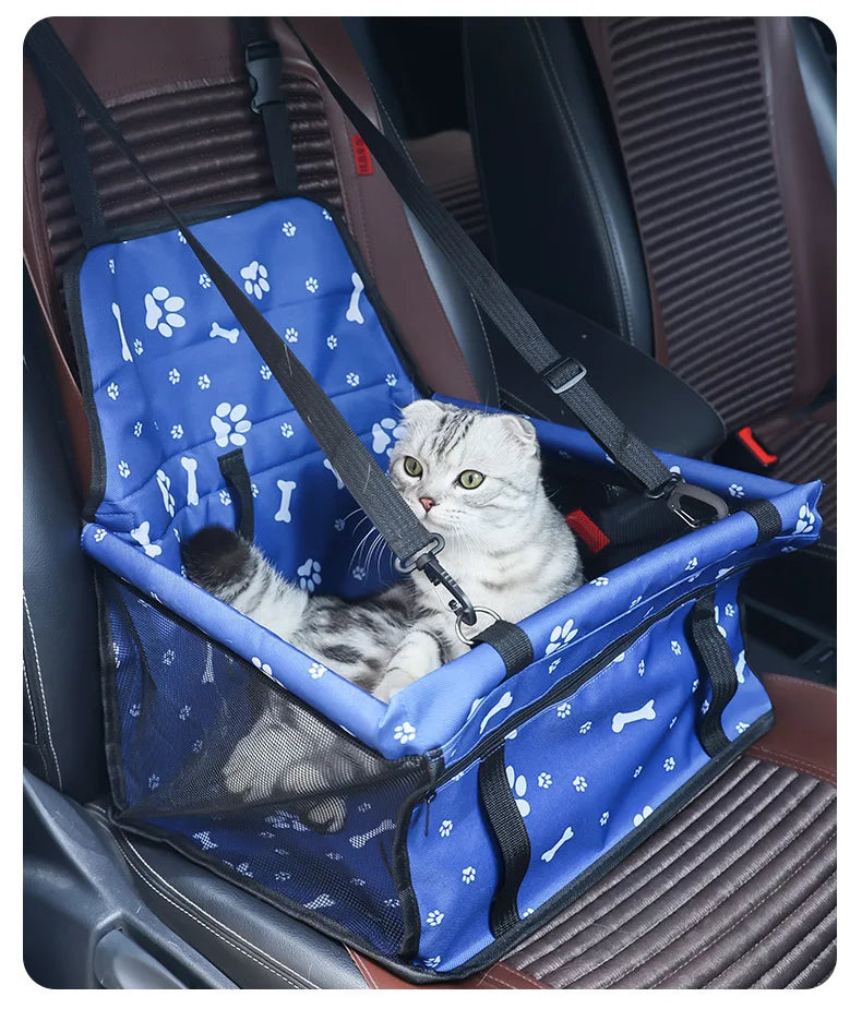 Cat in a blue pet seat with paw print design in a car.