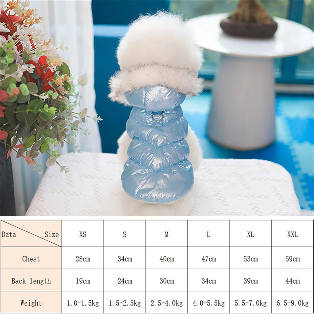 Small dog wearing a blue winter coat with size chart on a table outdoors.