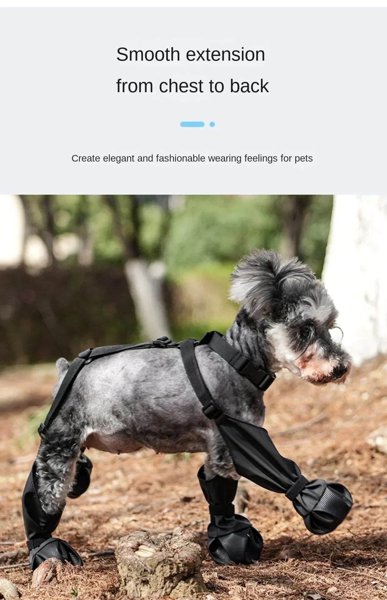 Dog wearing a black back support system in an outdoor setting