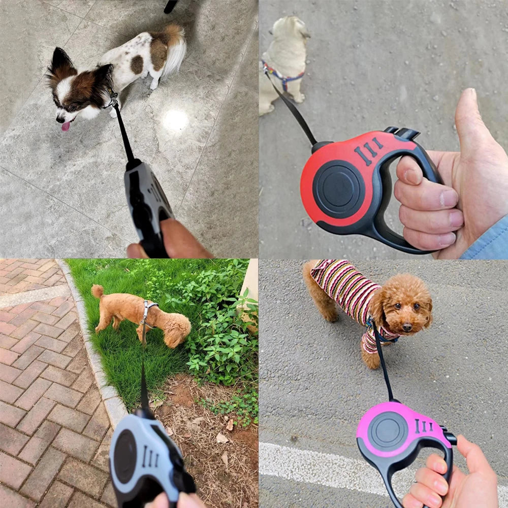 Collage of a dog being walked with a retractable leash, showing different views and uses.