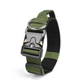 Green and black dog collar with metal buckle on a white background