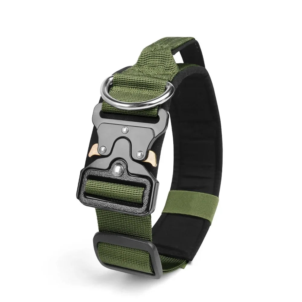 Green and black dog collar with metal buckle on a white background