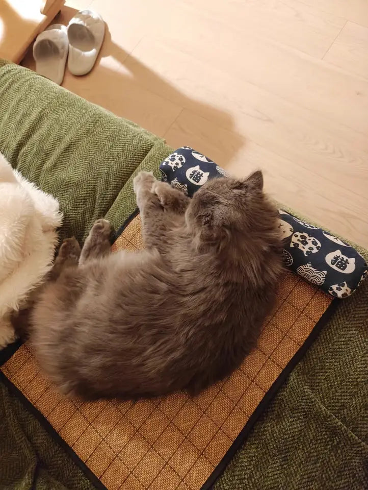 Gray cat lying on a self cooling mat and patterned pillow in the background.