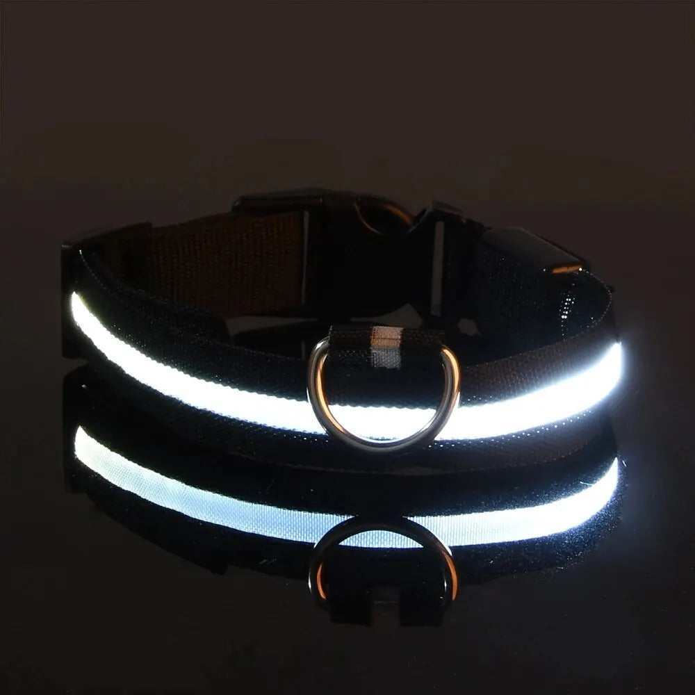 Reflective dog collar on a black background