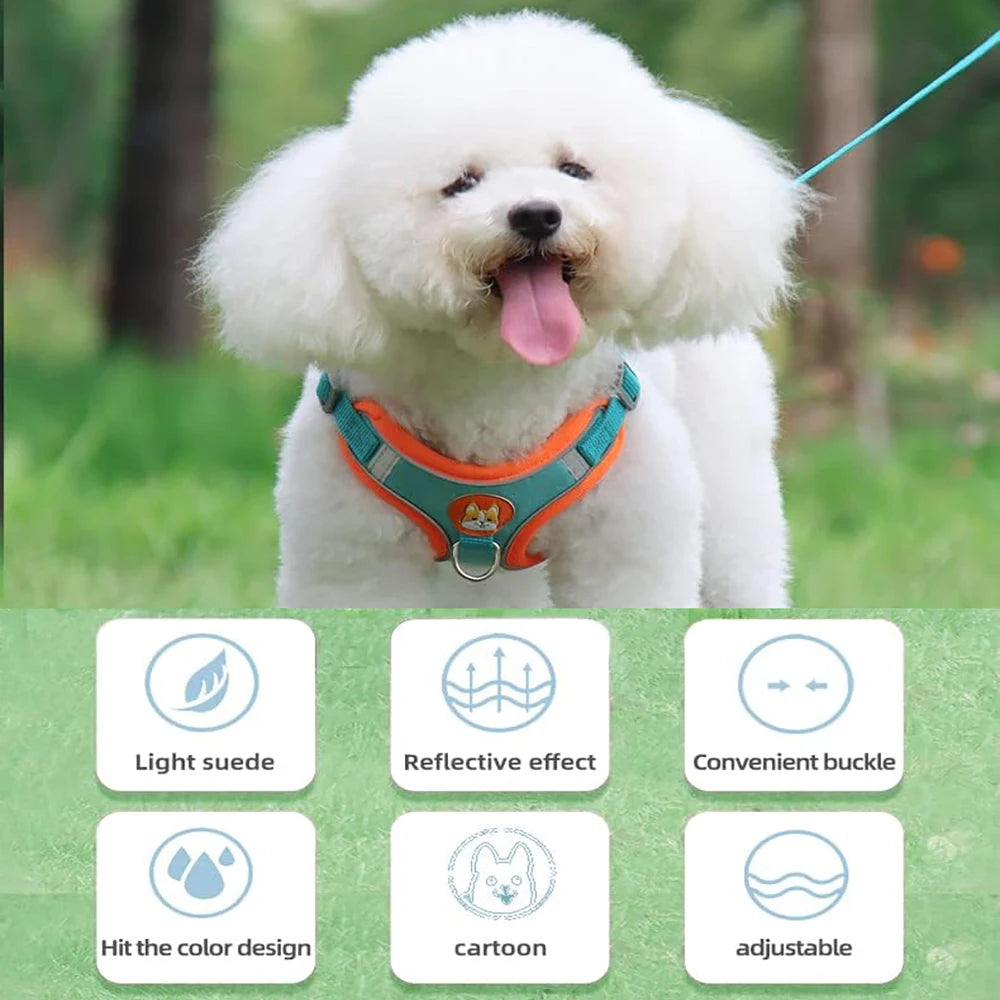 White dog wearing a green and orange harness with features highlighted on a green background