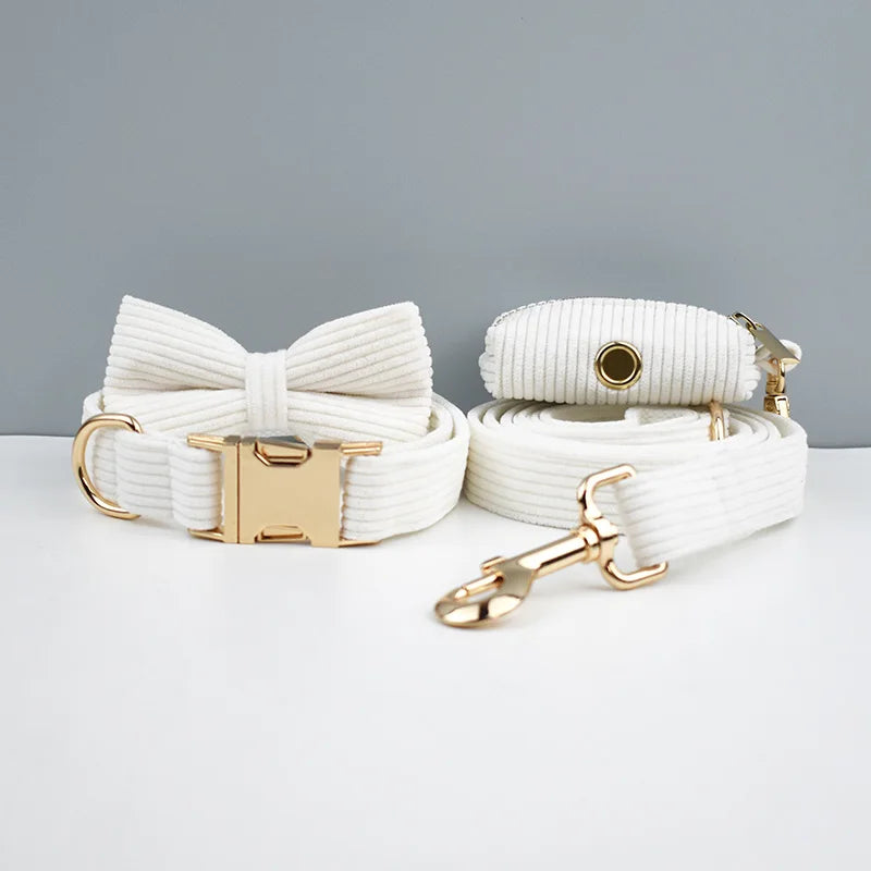 White dog collar and leash set with gold hardware on a gray background