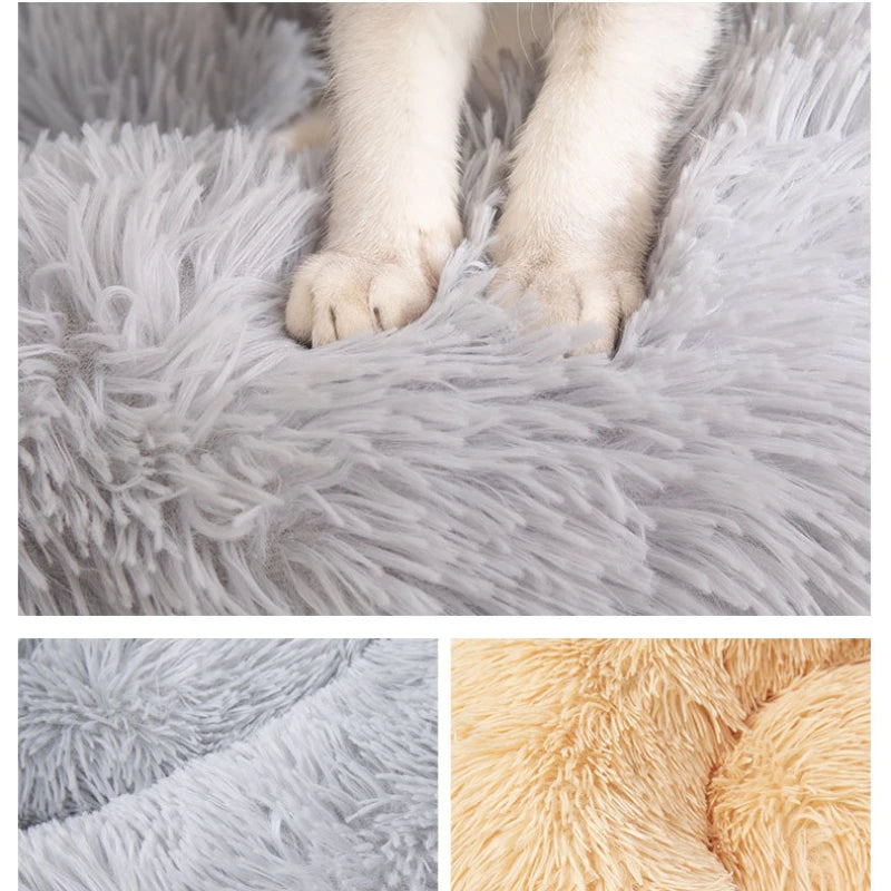 Close-up of a fluffy gray rug with a dog's paws on it, followed by close-ups of different textures.