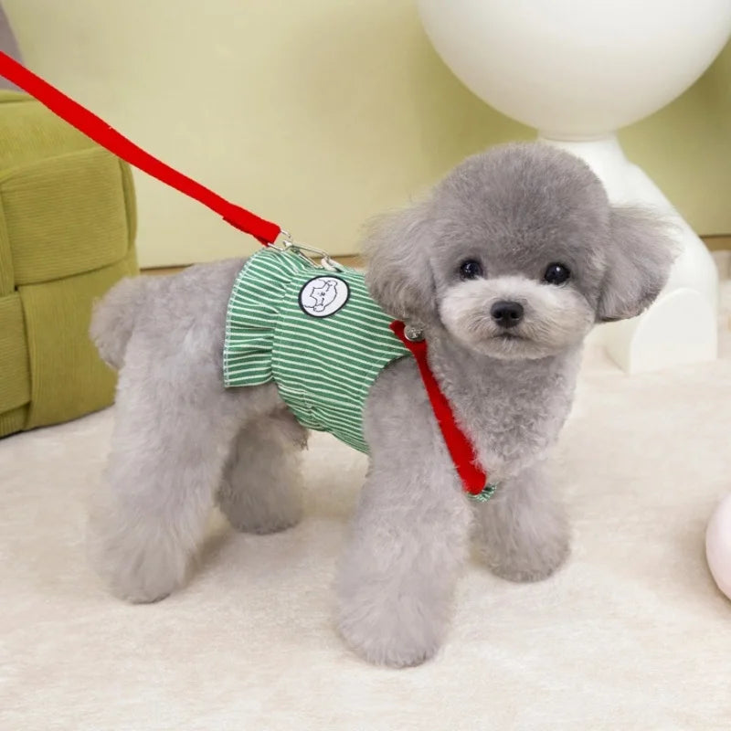 Striped Breathable Harness & Leash Set for Dogs