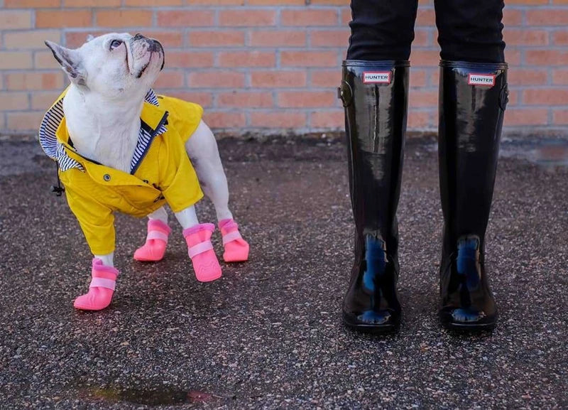 Dog in a yellow raincoat and pink boots standing next to a person wearing black rubber boots with visible branding.