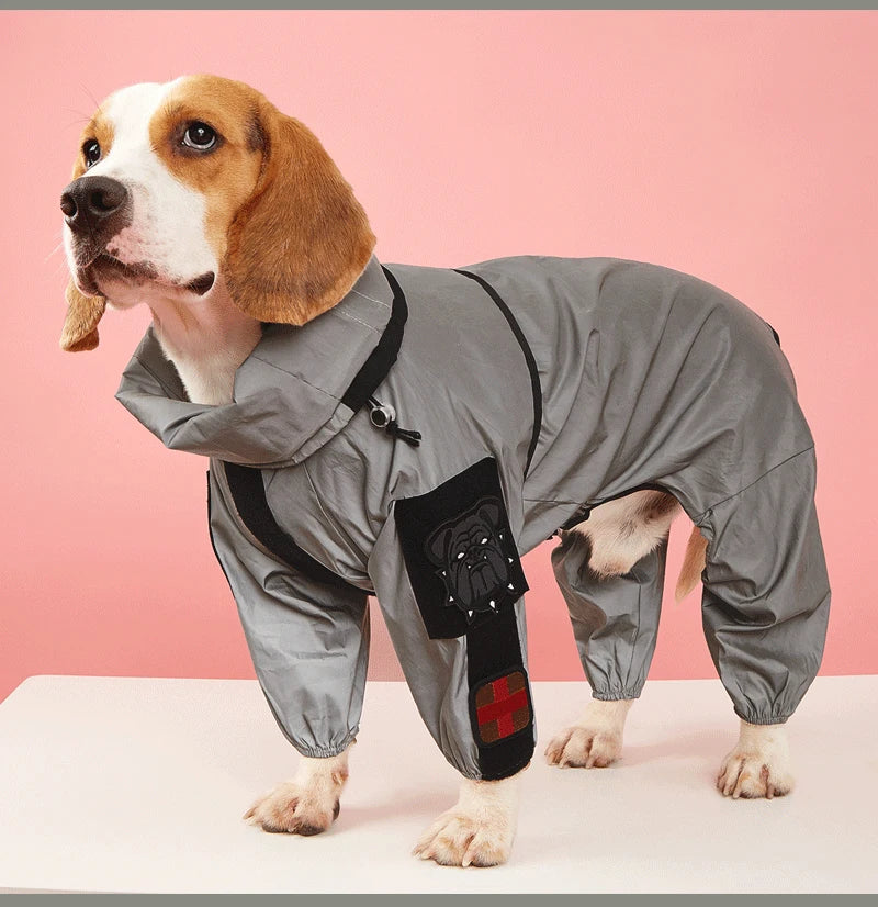 Dog wearing a gray rain jacket with a pink background