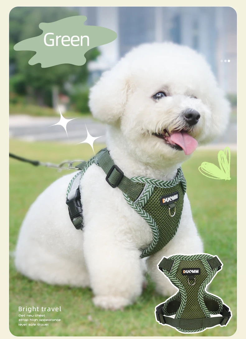 White dog wearing a green harness with a blurred outdoor background