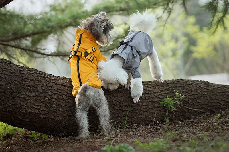 Reflective Waterproof Rain Jacket for Small Dogs