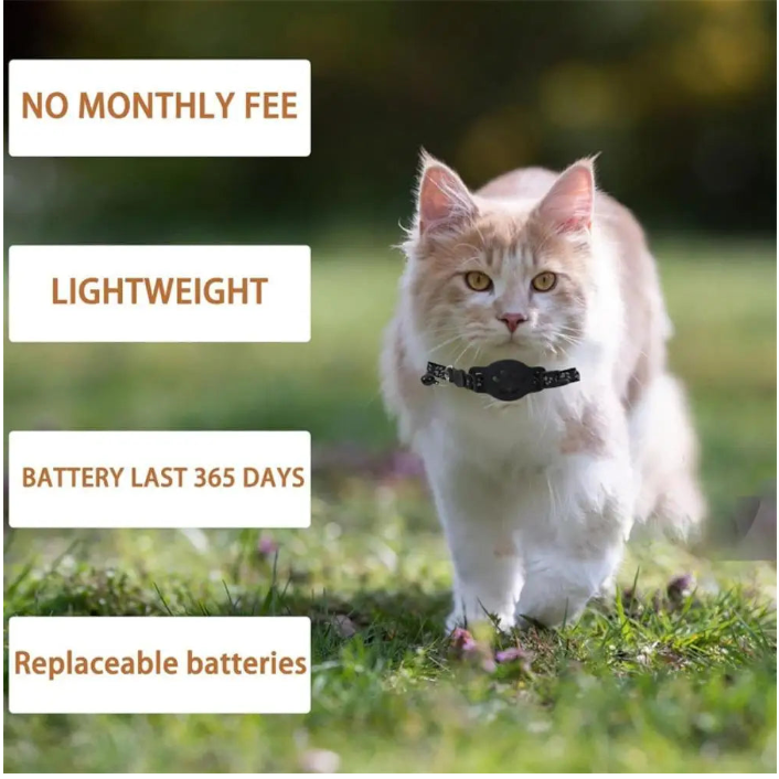 Cat walking outdoors with product features displayed on screen