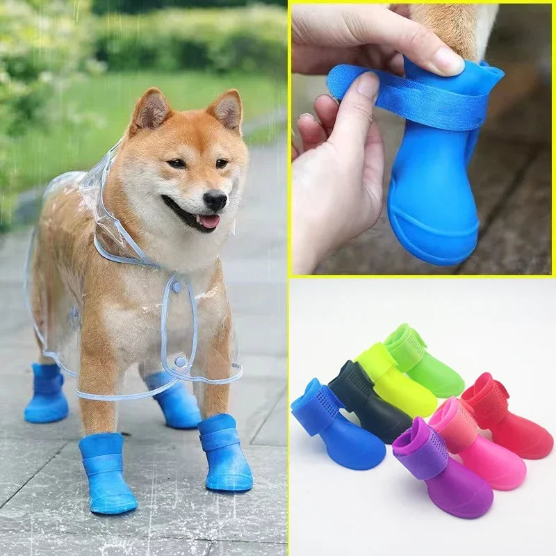 Dog wearing blue rain boots with a close-up of the boot, colorful boot options, and a dog in a transparent raincoat.