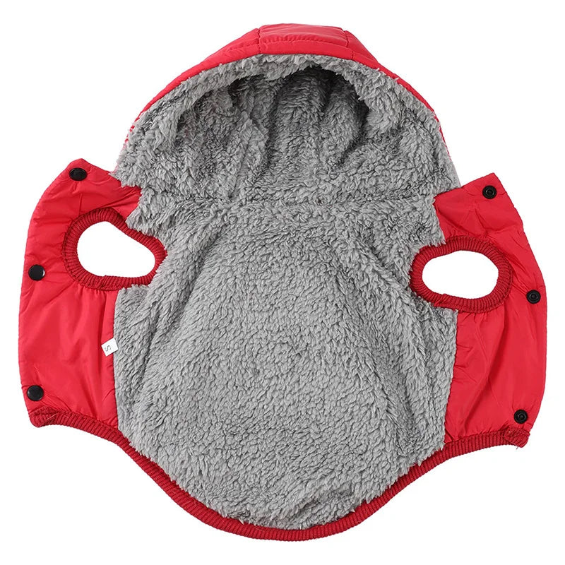 Gray pet coat with red trim on a white background