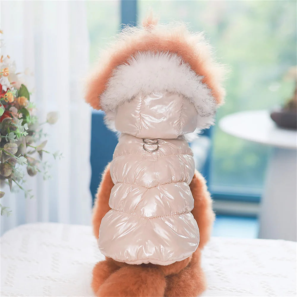 Small dog wearing a pink puffer coat with a fluffy hood in a bright room.
