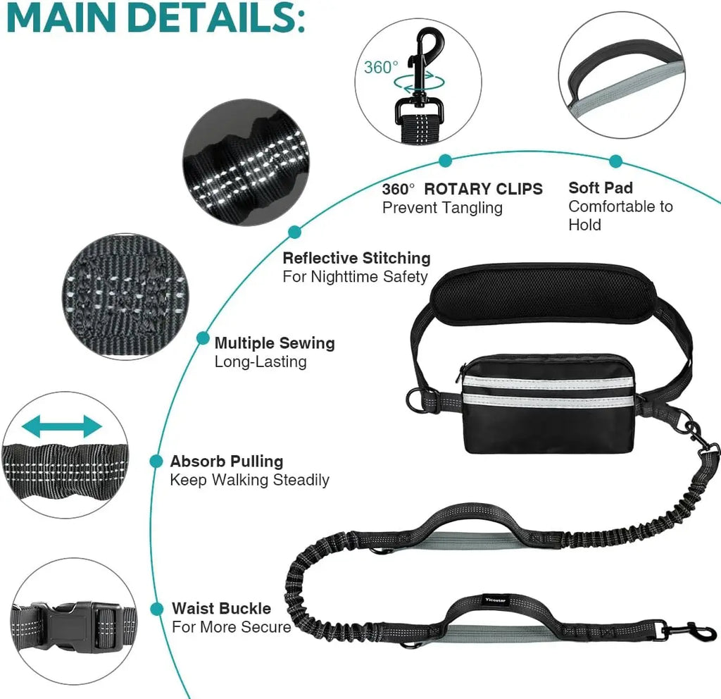 Dog leash with multiple features highlighted on a white background