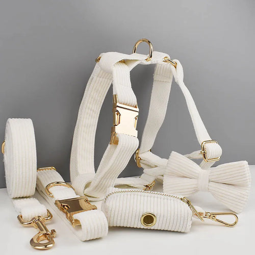 White dog harness and leash set with gold hardware on a gray background